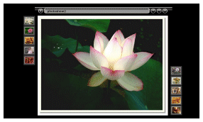 A different Lightbox photo display page