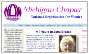 Link to the Michigan NOW website that I designed