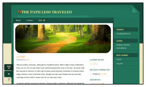 Wordpress Design