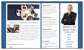 Business Design using Wordpress
